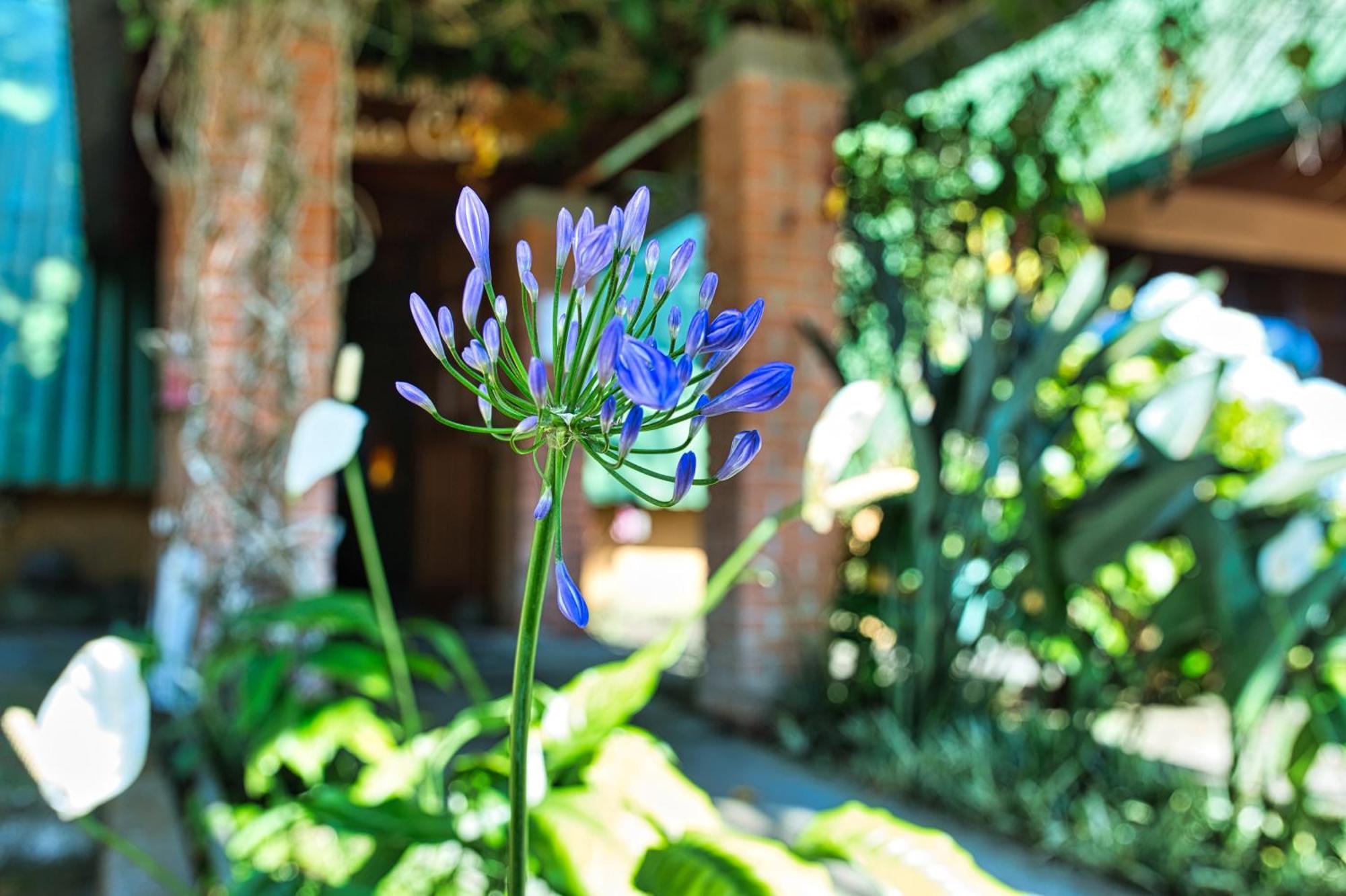 Hotel Villa Zurqui San Isidro  외부 사진